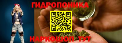 гидра Краснознаменск