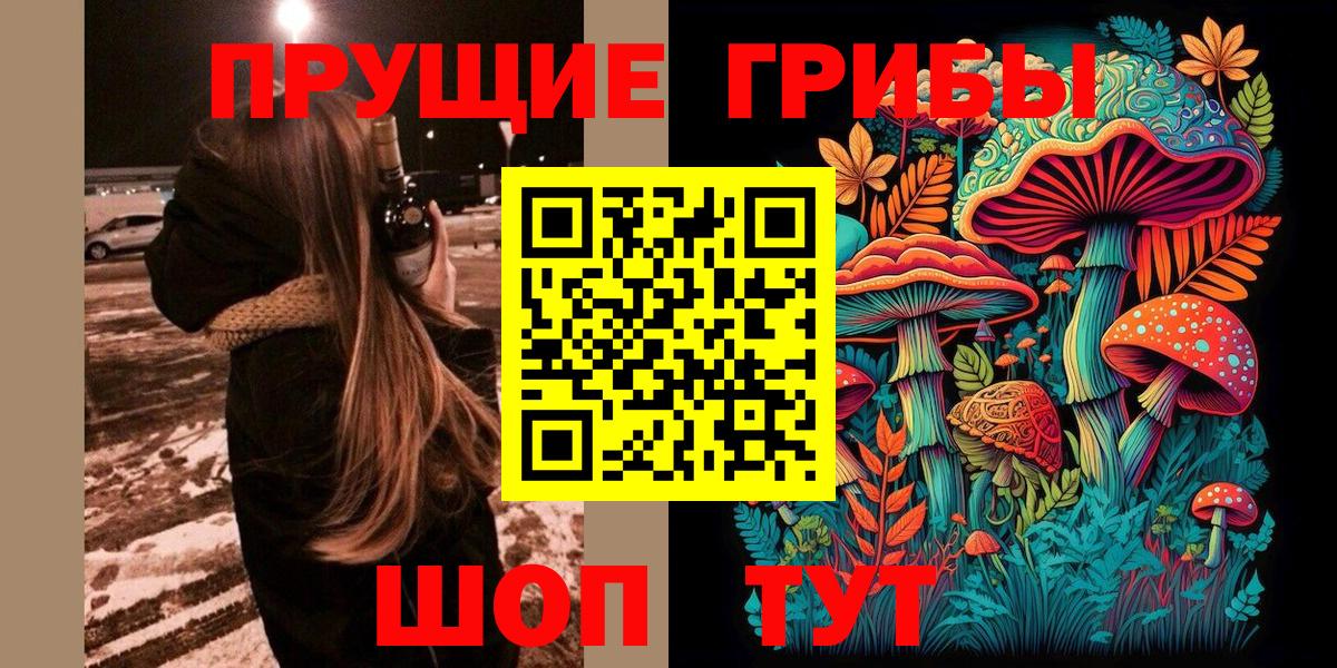 Галлюциногенные грибы прущие грибы Камышлов