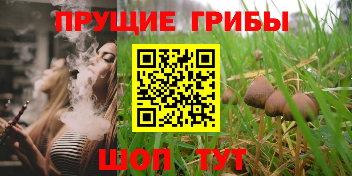 Камышлов  Галлюциногенные грибы ЛСД  Псилоцибиновые грибы Magic Shrooms  Вход с VPN 